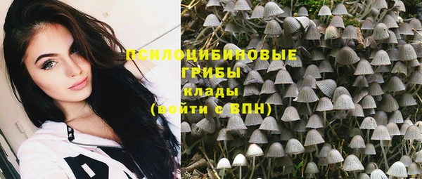 стафф Волоколамск