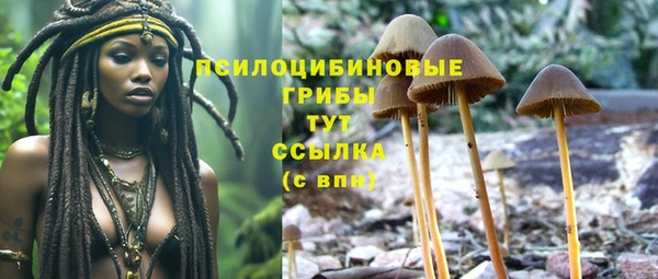 2c-b Верхний Тагил